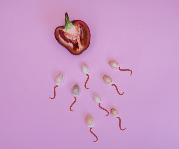 Male Reproductive Health: What Every Man Needs to Know