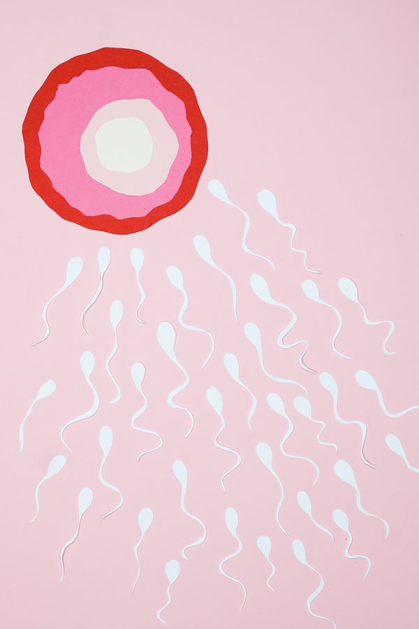 The Fertility Community