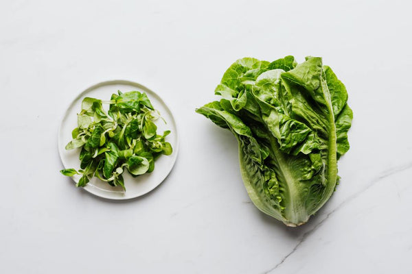 Magnesium's Role in Preconception Health