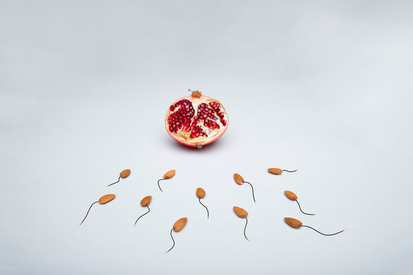 Male Fertility