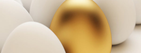 Can I improve the quality of my eggs?