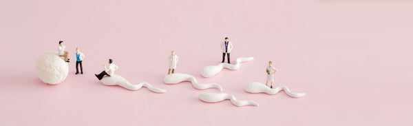 10 ways to improve IVF success