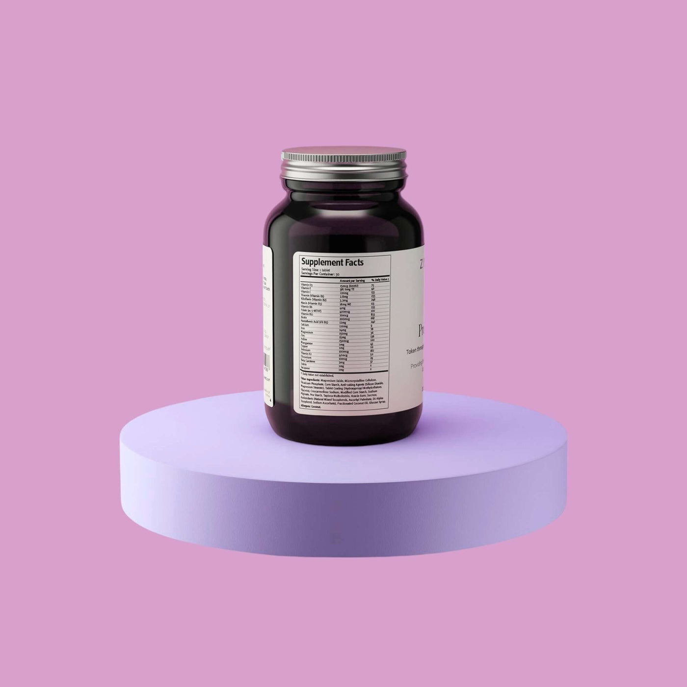 Pregnancy Plan - Comprehensive Nutrition for Preconception, Pregnancy and Postnatal