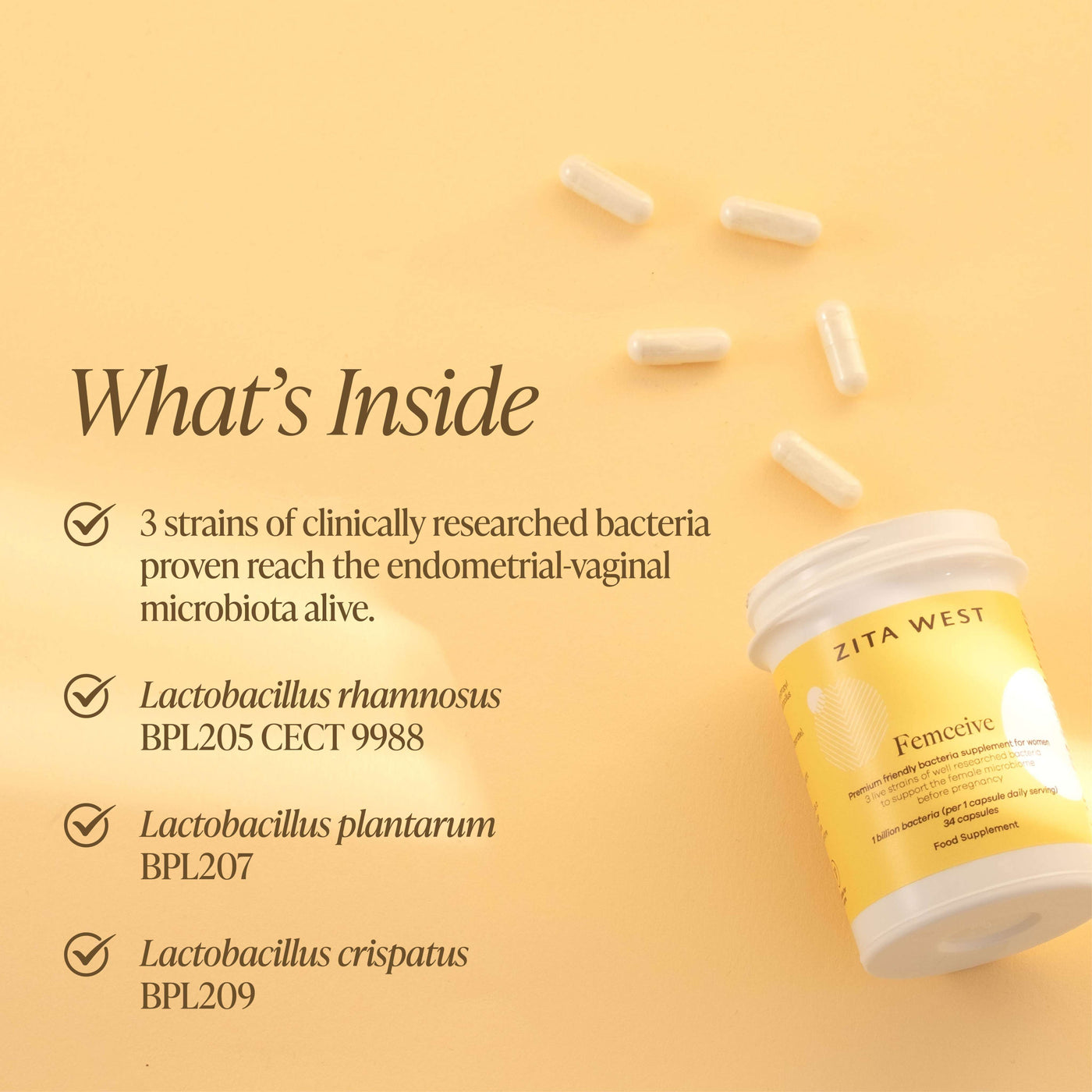Femceive - Probiotic Support for Female Fertility