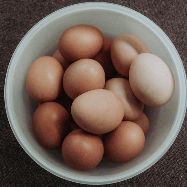 Choline Foods for Fertility: How to Increase Choline Before Pregnancy