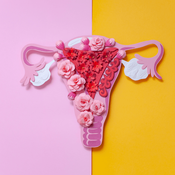 Paper-cut illustration of a uterus and ovaries decorated with pink and red flowers