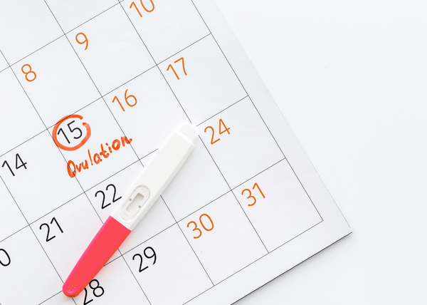 Calendar with an ovulation date circled and an ovulation test stick lying across it