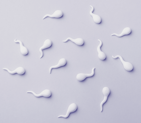 White clay sperm shapes scattered on a light lavender background