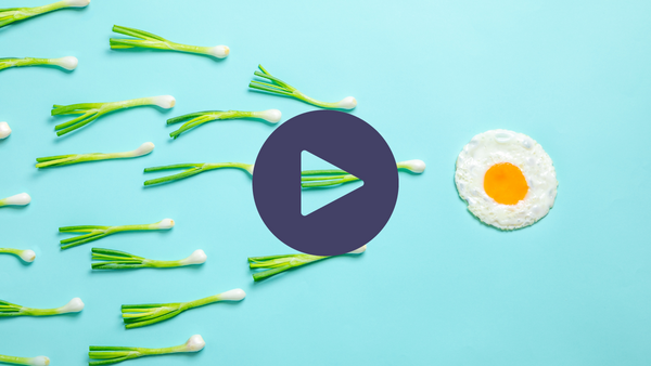 Video thumbnail of spring onions arranged pointing toward a fried egg