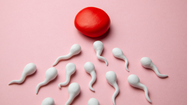Red clay egg surrounded by white clay sperm shapes on a pink background