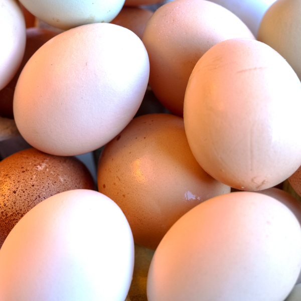 Close-up of a pile of brown and white eggs