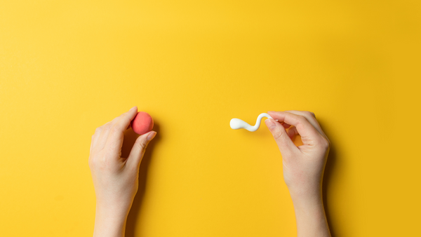 Hands holding a red clay ball and a white clay sperm shape on a yellow background