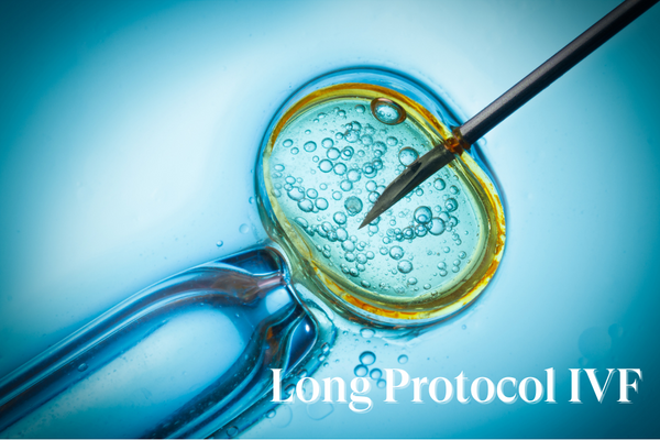 Illustration of an egg being injected with a needle labelled Long Protocol IVF