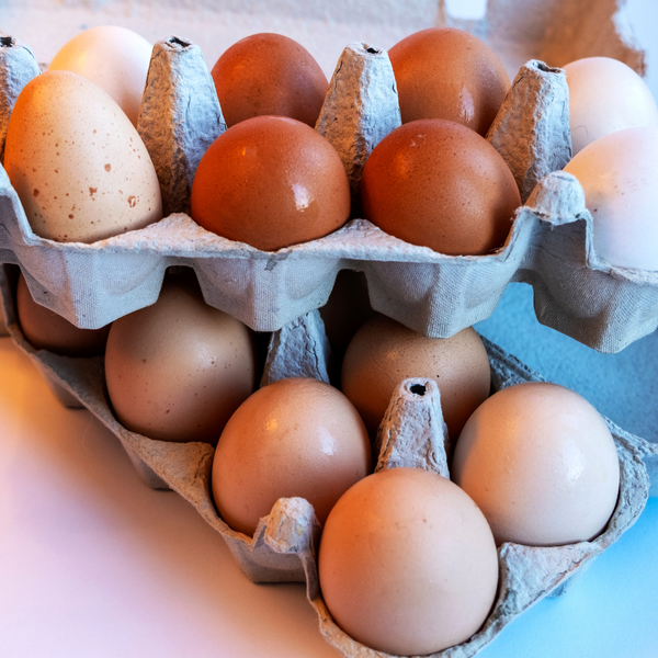 Carton of brown and white eggs viewed close-up