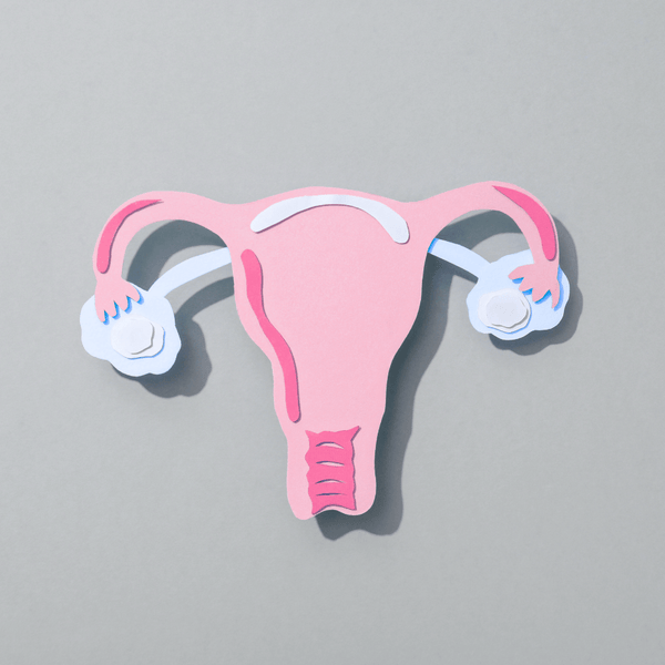 Paper cutout illustration of a uterus and ovaries in pink and white