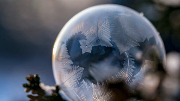 Close-up of a frost-covered bubble with ice crystal patterns beside a pinecone