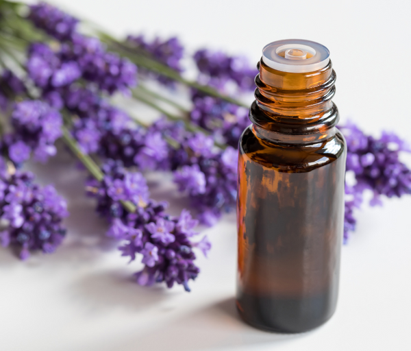 Bottle of essential oil next to sprigs of lavender
