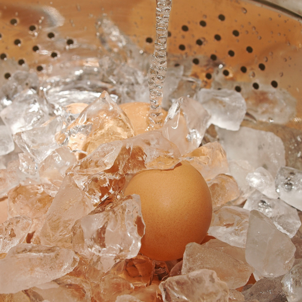 Egg nestled among ice cubes in a colander