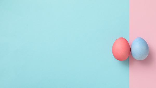 Two dyed eggs, one pink and one blue, side by side on a split blue and pink background