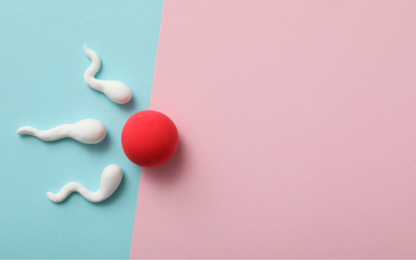 White clay sperm shapes on a blue background beside a red clay egg on a pink background