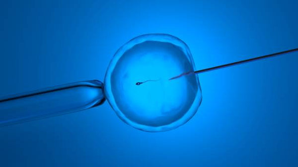 Common mistakes people make during IVF and how to fix them