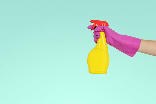 How to Have a Toxin Free First Trimester