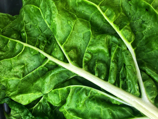 Close-up of a green leafy vegetable with visible veins and water droplets
