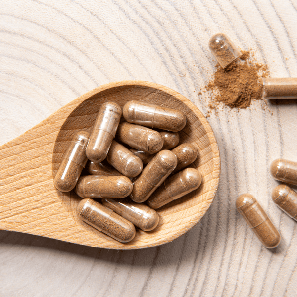 Wooden spoon holding brown supplement capsules and powder