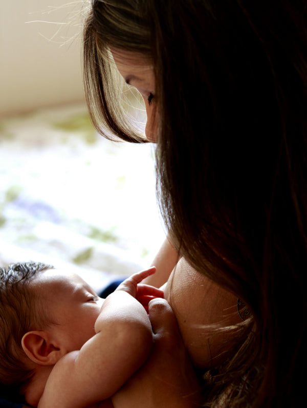 Close-up of a mother breastfeeding her newborn baby in a sunlit room