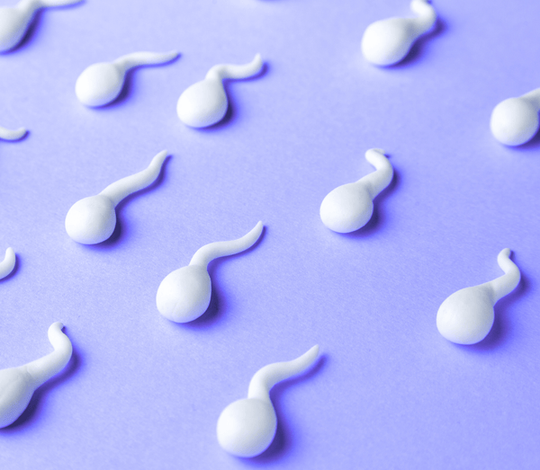 White clay sperm shapes scattered on a light purple background