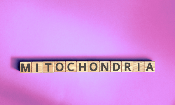 How Mitochondria and Ubiquinol CoQ10 Support Egg Quality: An Evidence-Based Guide