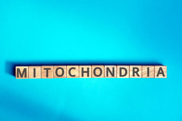 Wooden letter tiles spelling MITOCHONDRIA on a blue background