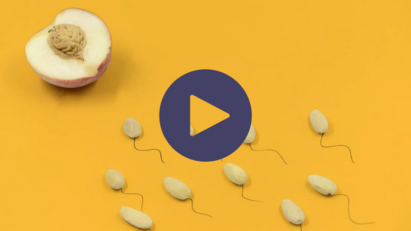 Halved peach beside almond shapes resembling sperm on a yellow background