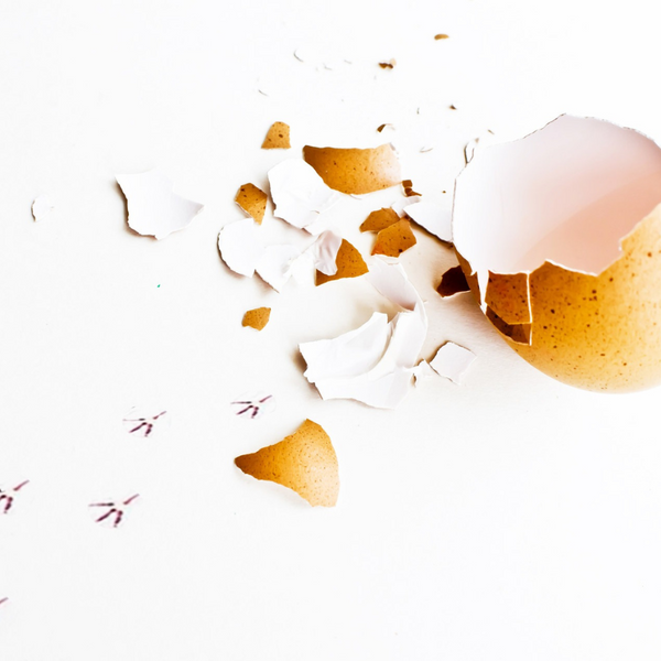 Cracked eggshell with pieces scattered on a white surface beside small bird footprints
