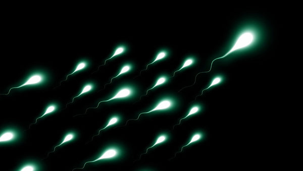 Glowing illustration of sperm cells swimming against a dark background