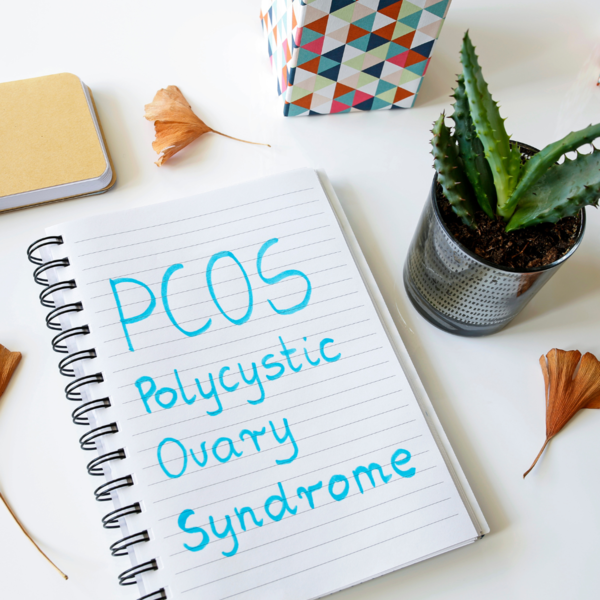 Spiral notebook with 'PCOS Polycystic Ovary Syndrome' written in blue ink, next to a small cactus plant