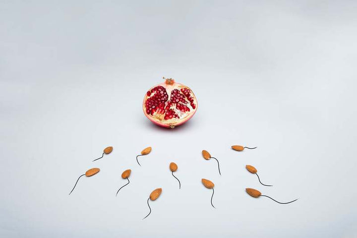 Male Fertility