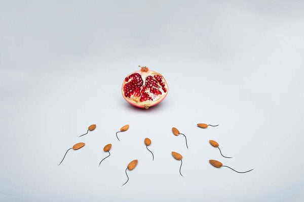 Male Fertility