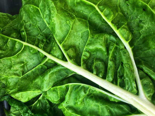Close-up of a green leafy vegetable with visible veins and water droplets