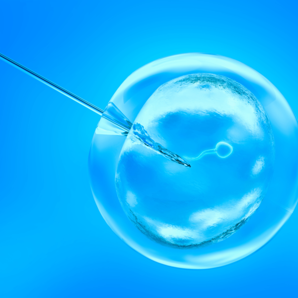 Close-up of a fine needle injecting fluid into a translucent egg cell against a bright blue background
