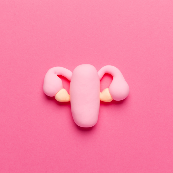 Pink clay model of a uterus and ovaries on a bright pink background