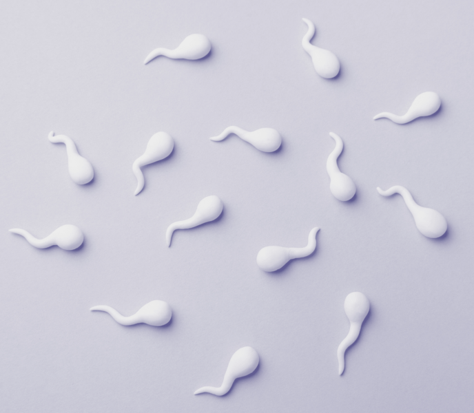 White clay sperm shapes scattered on a light lavender background