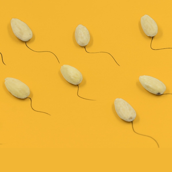 Almonds with drawn tails resembling sperm on a yellow background