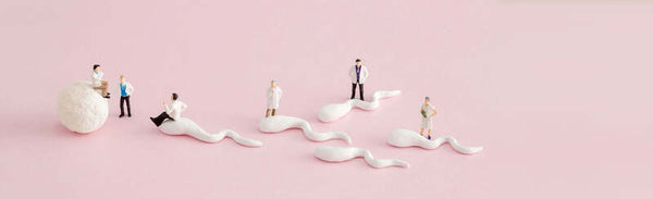 Miniature figurines of doctors standing beside clay models of sperm and an egg on a pink background