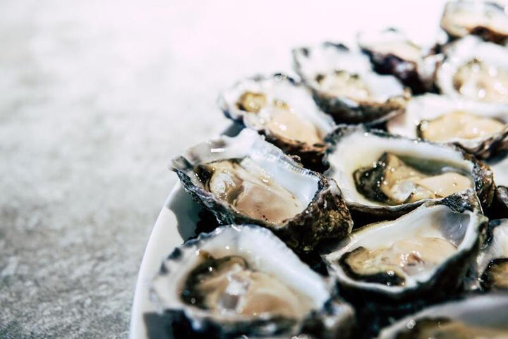 Close-up of freshly shucked oysters on a plate