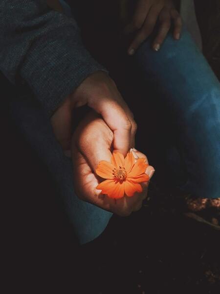 Close-up of two people holding hands with one holding a small orange flower