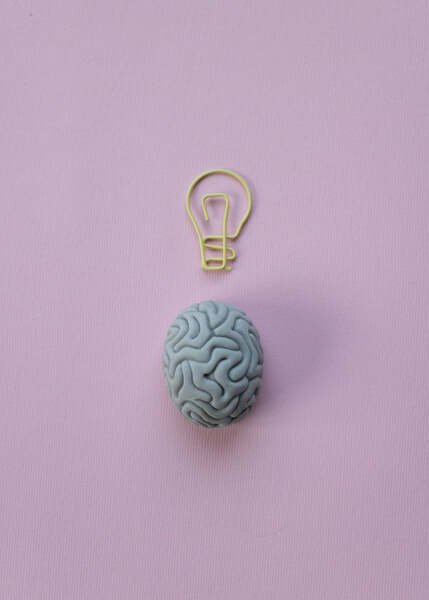 Model brain and lightbulb icon made from clay on a pink background