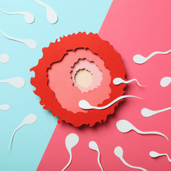 Paper craft illustration of a red egg cell surrounded by white sperm cells on a pink and blue background