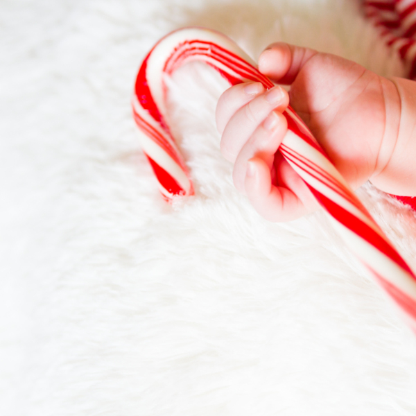 Newborn baby hand holding two red and white candy canes on a fluffy white surface