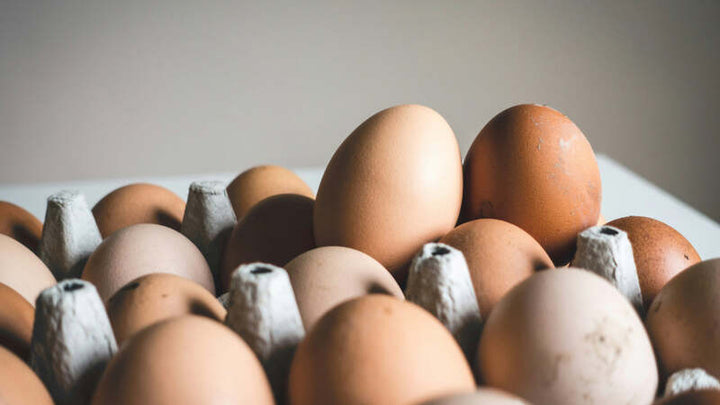 Brown eggs in a cardboard egg carton, two standing upright in the foreground